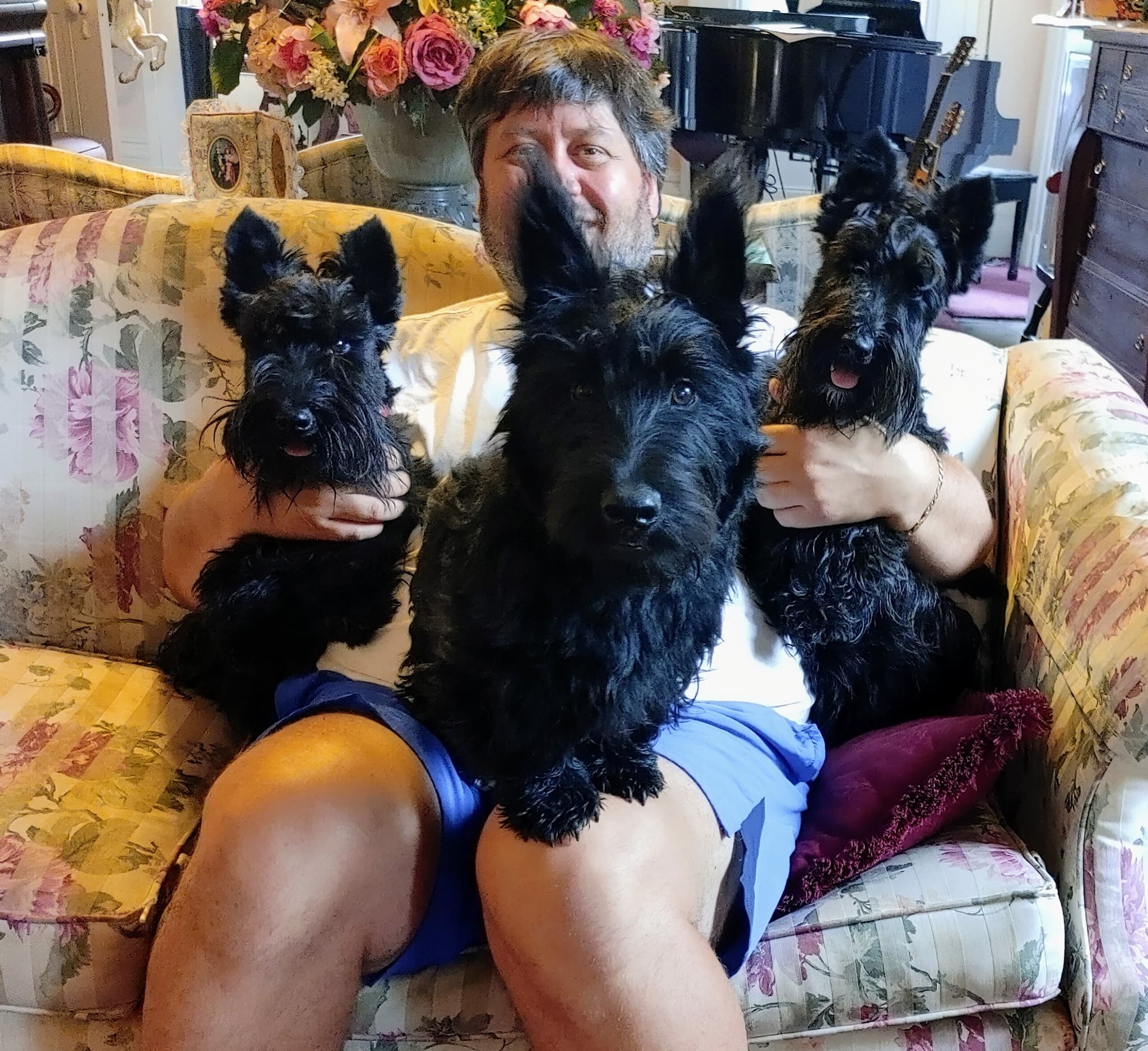 A man sitting on a floral couch holds two black Scottish Terriers while another one sits beside him.